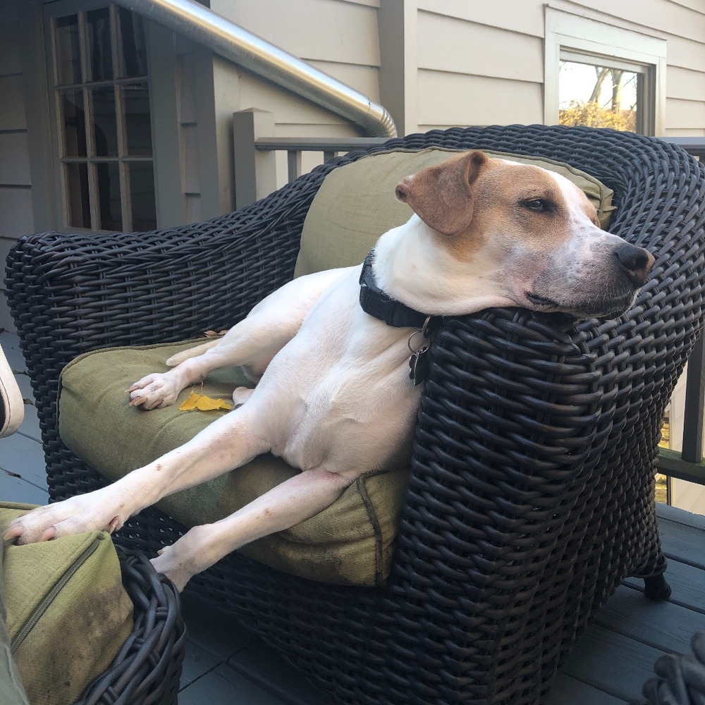 Meet your Posher, Linda